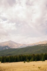 Vibrant Rocky Mountains, Colorado