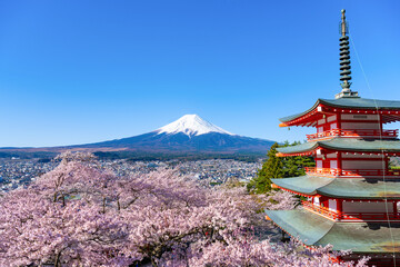山梨県富士吉田市　春の新倉山浅間公園