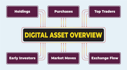 Digital Asset Overview: A Comprehensive Diagram of Holdings, Traders, and Market Dynamics in Digital Assets