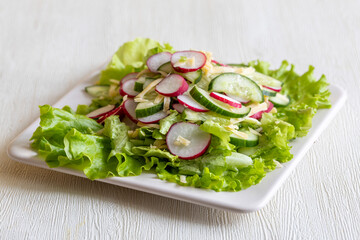 Vegetarian spring salad with fresh radishes, cucumber and lettuce with olive oil on white background