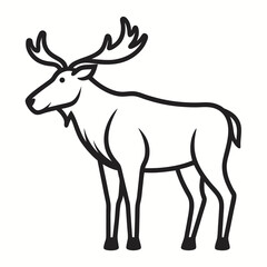 Moose on white background