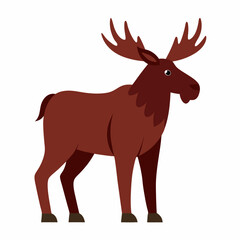 Moose on white background