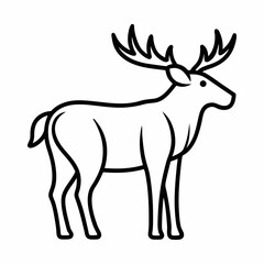 Moose on white background