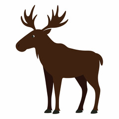 Moose on white background