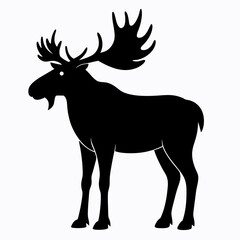 Moose on white background
