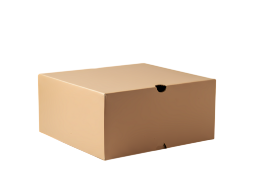 Plain Cardboard Box: Packaging, Shipping, and Product Presentation