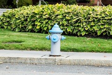 FFIER HYDRANT ON A CITY STREET PAINTED IN BLUE AND WHITE COLORS.
