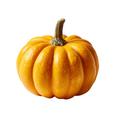 Pumpkin isolated on white background or transparent background