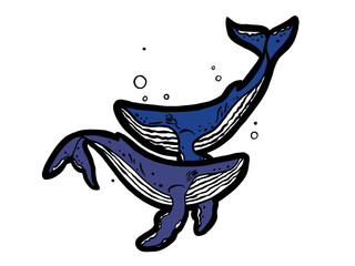 Couple of vectorial hand drawn blue whales illustration on white background. Ideal for tattoo or using as stickers.