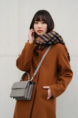 Stylish woman in brown coat and grey handbag. A modern fashion model pose, autumn fashion, street style