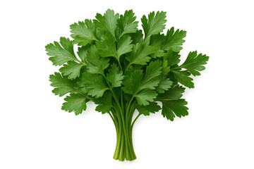 Fresh parsley bunch isolated on transparent background, perfect for food and culinary projects
