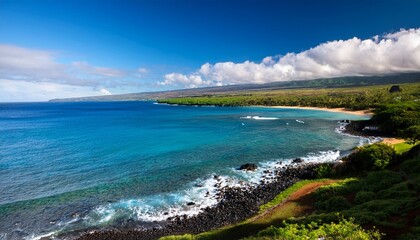 Fototapeta premium honolua bay in maui hawaii