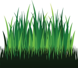 Grass Silhouette Vector Collection Long, Tall, Wild, and Minimal Grass Designs for Nature Projects
