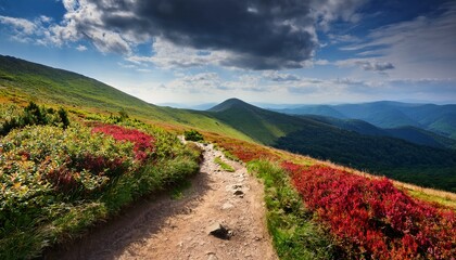 scenic landscape in bieszczady mountains featuring winding dirt path through vibrant greenery and red bushes under a partly cloudy sky perfect for outdoor activities © Harper