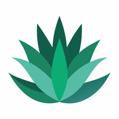  aloe flower on white background