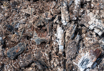 Burned wood of which is only left
