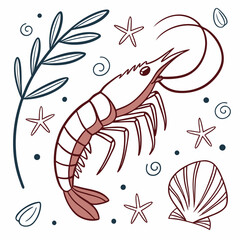 Elegant shrimp illustration with sea elements, transparent background