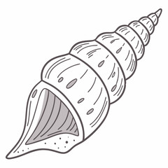 Spiral seashell ocean beach summer nature illustration