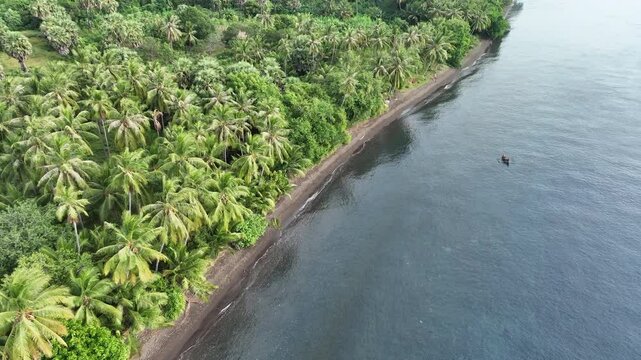 The volcanic island of Adonara, in the Lesser Sunda Islands of Indonesia, is fringed by palm trees along its coast. This tropical region supports some of the world's greatest marine biodiversity.