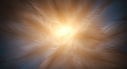 Obraz premium Abstract image of feathers radiating outwards from a central light source