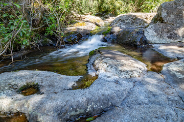 stream in the forest
