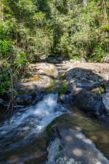 stream in the forest