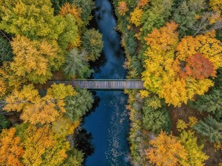 Obraz premium fall colors on the bridge