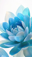 Aquamarine, Delicate blue flower petals with intricate patterns and soft hues.