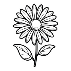 daisy flower line art for coloring page.