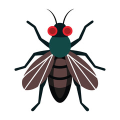 fly vector illustration