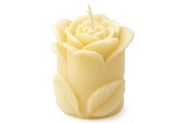 Creamy white candle shaped as blooming rose with short wick on transparent background, perfect for decoration or romantic setting