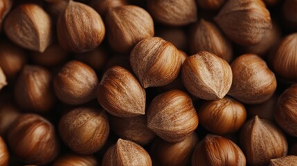 A close-up of a pile of hazelnuts with a natural brown color and a slightly rough texture.