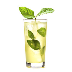 Refreshing Mint Cocktail in a Glass with Ice and Fresh Leaves
