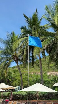A blue flag against a backdrop of palm trees develops in the wind. Swaying blue flag against the background of the sea and palm trees. Medium level of danger. A strong wind is blowing. Flag on the coa