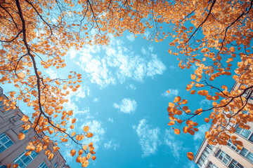 Autumn leaves falling against a clear sky.