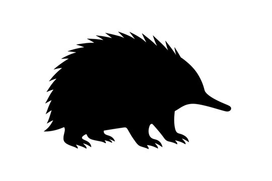 Black Silhouette of a Spiky Echidna on White Background