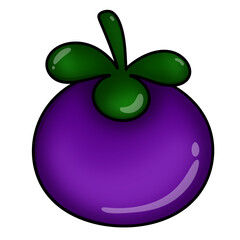 mangosteen