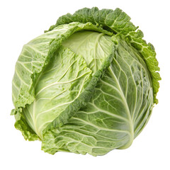 Fototapeta premium Fresh organic head of cabbage with green leaves isolated on a white background