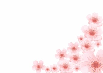 pink flower background