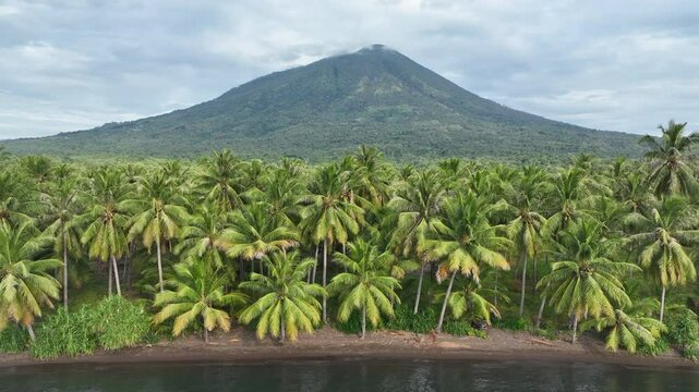 The volcanic island of Adonara, in the Lesser Sunda Islands of Indonesia, is fringed by palm trees along its coast. This tropical region supports some of the world's greatest marine biodiversity.