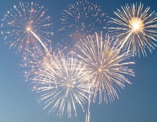 夜空の花火