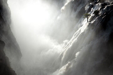 A tree stands against the torrents of water cascading over Ruacana Falls, Namibia.