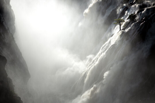 A tree stands against the torrents of water cascading over Ruacana Falls, Namibia.