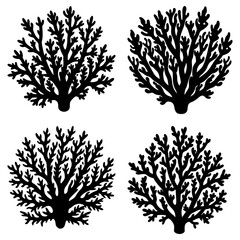 Four black silhouette coral formations with branching structures on a white background arranged symmetrically