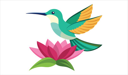 Obraz premium Hummingbird and pink water lily flower illustration