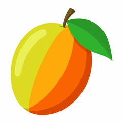vector illustration of an orange fruit