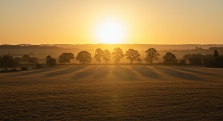 Golden Hour Sunset Over Rural Field with Silhouetted Trees