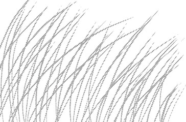 モノクロの草原の背景イラスト　Adobe Illustrator Artwork