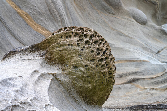 Fascinating honeycomb-like rock formation caused by erosion