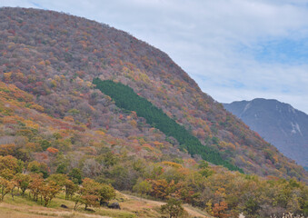Fototapeta premium autumn in the mountains